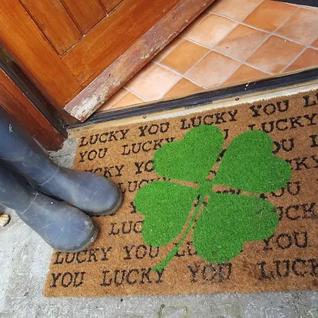 Gormanstown House Apt, The Island Appartement Tullamore