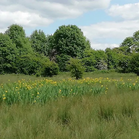 Apartment Gormanstown House Apt, The Island