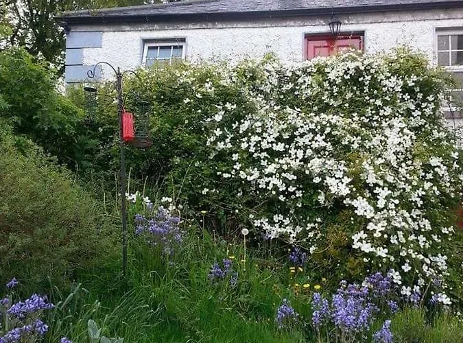 Gormanstown House Apt, The Island * Tullamore