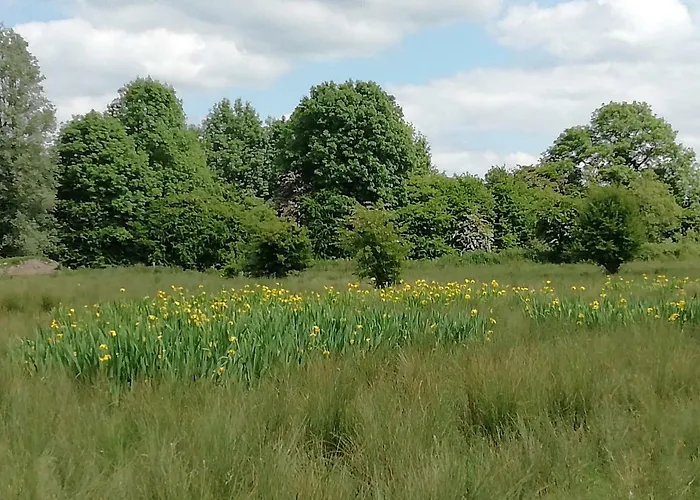 Appartement Gormanstown House Apt, The Island